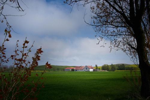 Bed & Breakfast Vinkille