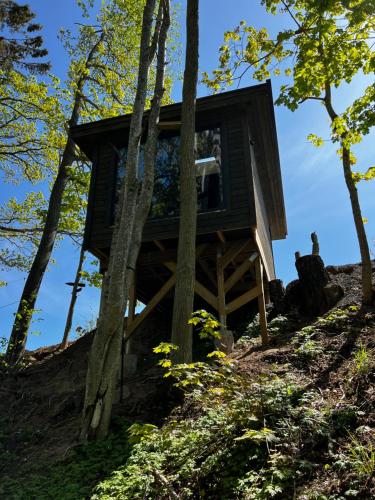 Vättervy Glamping- Ravinstuga