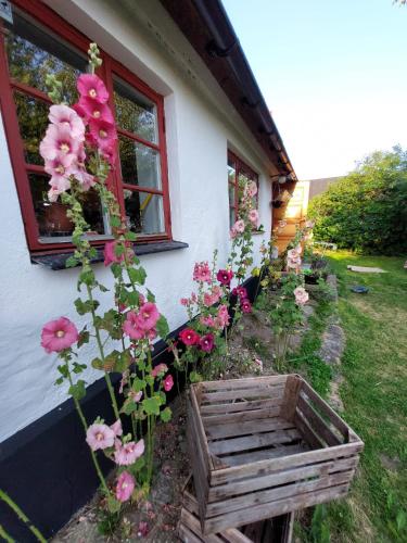 Fridfullt sommarhus mitt på Österlen